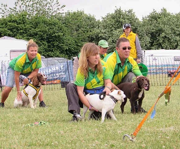 Fyra personer och deras hundar sitter på gräsmattan och väntar på tävlingsstarten