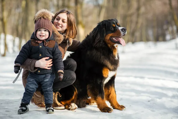 En mamma med ett barn som leker i snön med en Berner Sennenhund