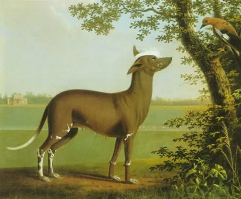 Målning av George Cuitt den äldre, föreställandes en Kinesisk Nakenhund som tittar på en fågel